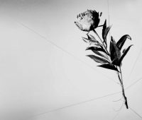 توانمندسازی مدیران برای توقف تعرض