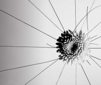 چرا برنامه‌های مبارزه با آزار جنسی نتیجه‌ی عکس می‌دهند؟