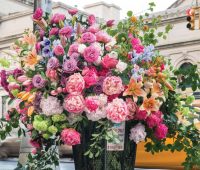 کسب‌وکار «شُما»ی متحول‌شده