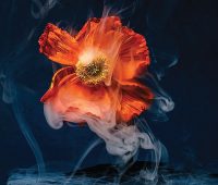 رویکردی بهتر به‌منظور جلوگیری از تخلفات کارکنان