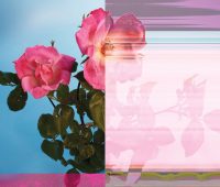 چرا شرکت‌ها به کمیتۀ اخلاق نیاز دارند