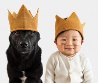 شیوۀ صحیح پشتیبانی