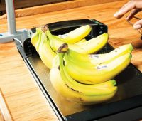 تاوان سنگین نادیده گرفتن کارکنان کم‌درآمد