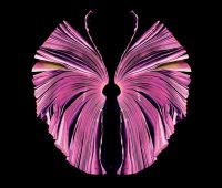 خلق داستان برای تغییر فرهنگ سازمان