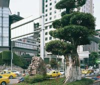 برای خلق آینده‌ای سبزتر، غرب نمی‌تواند چین را نادیده بگیرد