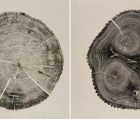 محصولاتی طراحی کنید که تاریخ مصرف نداشته باشند