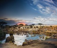 حکمرانی اقلیمی شما تا چه حد کارآمد و مؤثر است؟