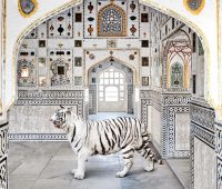 شخصی‌سازی، به شیوه‌ای درست